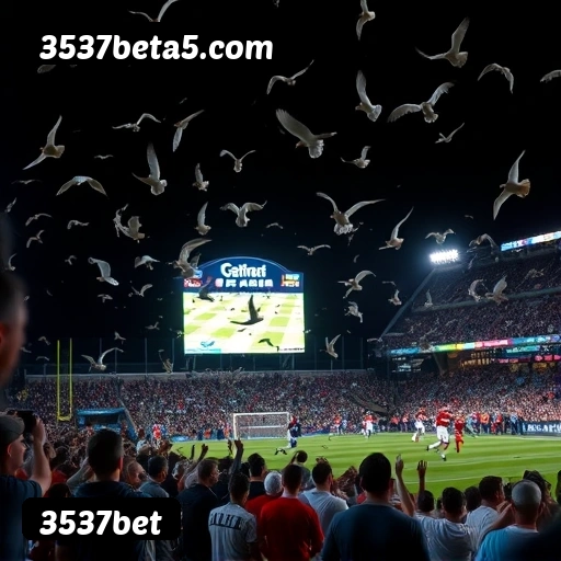 Suporte 24 horas 3537bet