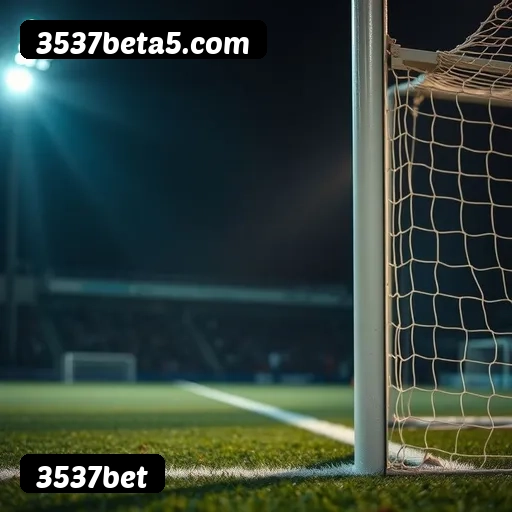 Níveis do programa VIP da 3537bet